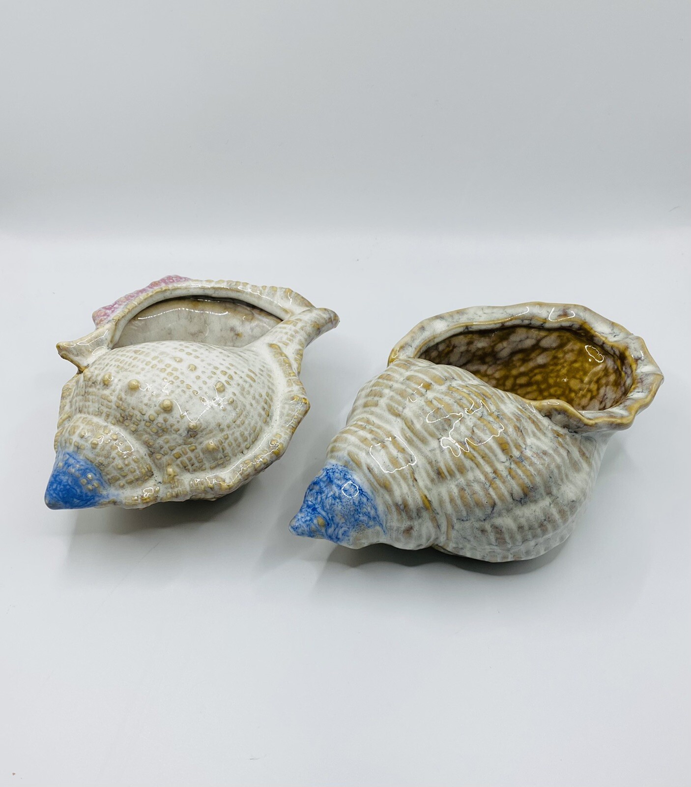 Decorative Ceramic Sea Shells Beige, Blue And Pink Set Of 2 gallery