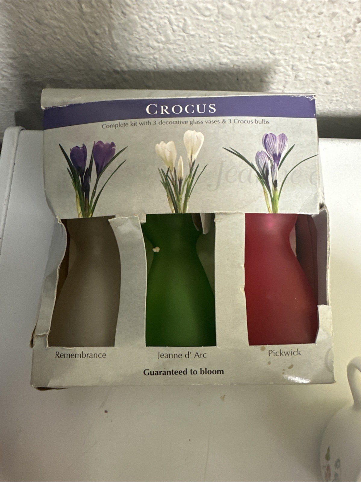 Cute Small Vases Box Does Not Have Crocus Seeds. 3 1/2 Tall and About 1 3/4 Inch gallery