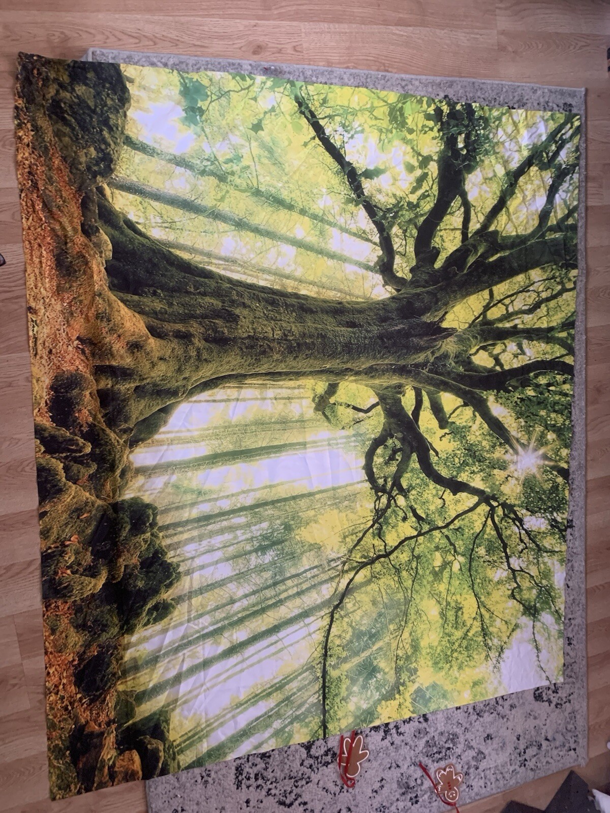 Tree Tapestry’s gallery