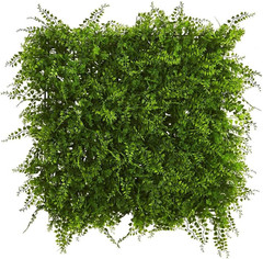 Lush 20″x20″ UV Resistant Mediterranean Fern Wall Panel for Indoor/Outdoor Use