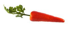 Artificial Carrot Orange – Plastic Vegetable Carrots Fake Vegetables