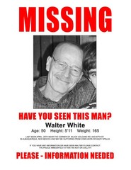 Breaking Bad Walter White Missing Poster 11 X 14″ Photo Print