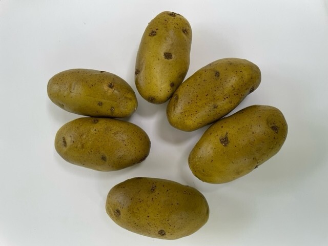 Artificial Baking Potato Decorative Fake Vegetable Spud Bag of 6 Idaho gallery