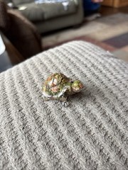 Minute Turtle Figure 2”