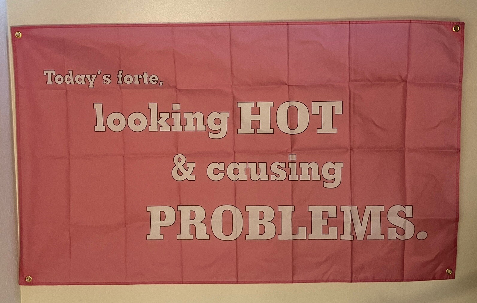 Looking Hot & Causing Problems Pink Banner Tapestry Flag 3x5 w/ Grommets gallery