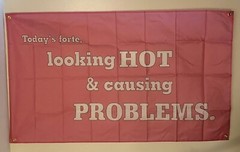 Looking Hot & Causing Problems Pink Banner Tapestry Flag 3×5 w/ Grommets