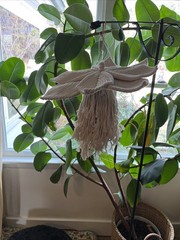 Gorgeous Handmade Macrame Large Flower Boho Hippie Cottage Chic Decor White