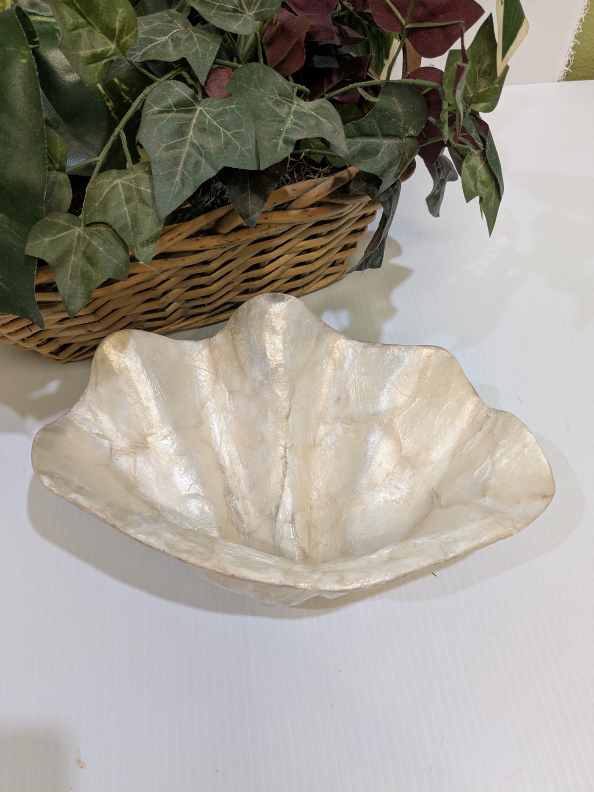 Capiz Shell Clam Sea Shell Shape Large Bowl 12"X6. 5" gallery