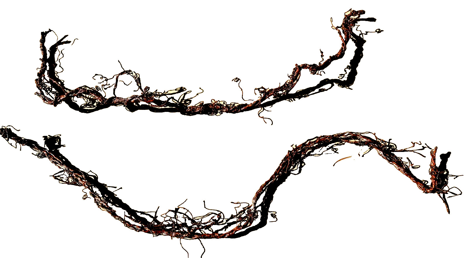 Rustic Country Grapevine Artificial Garland Realistic Brown Decoration 2 pc 71"L gallery