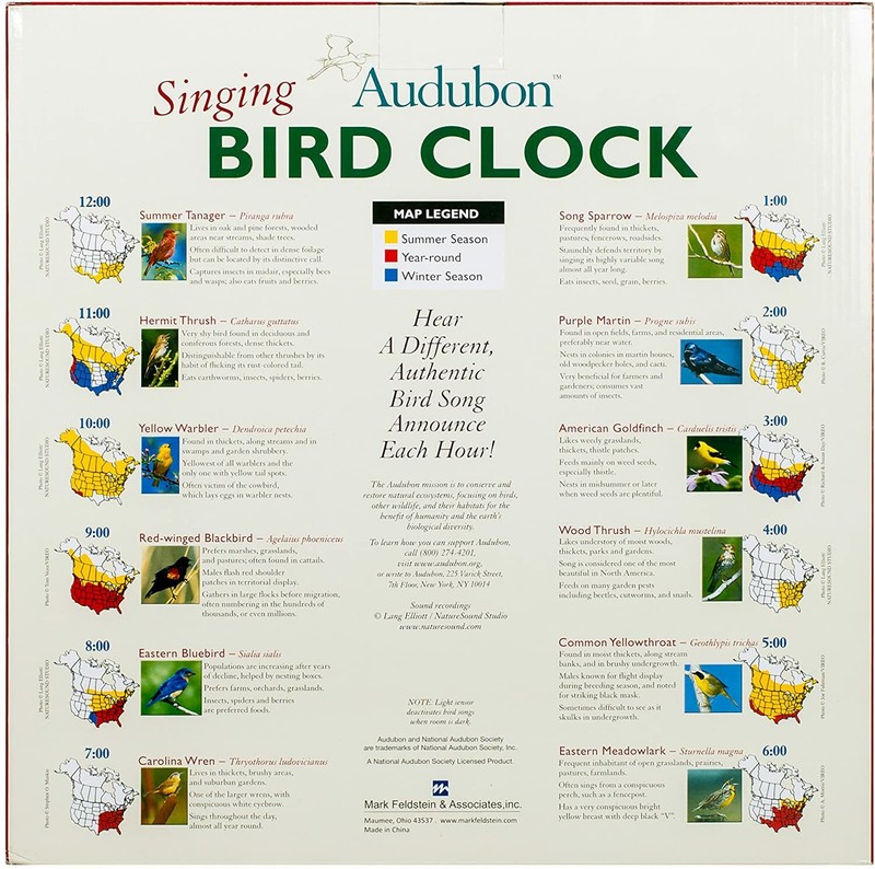 The Original Singing Bird Wall / Desk Sound Clock, 8 Inch, Green gallery