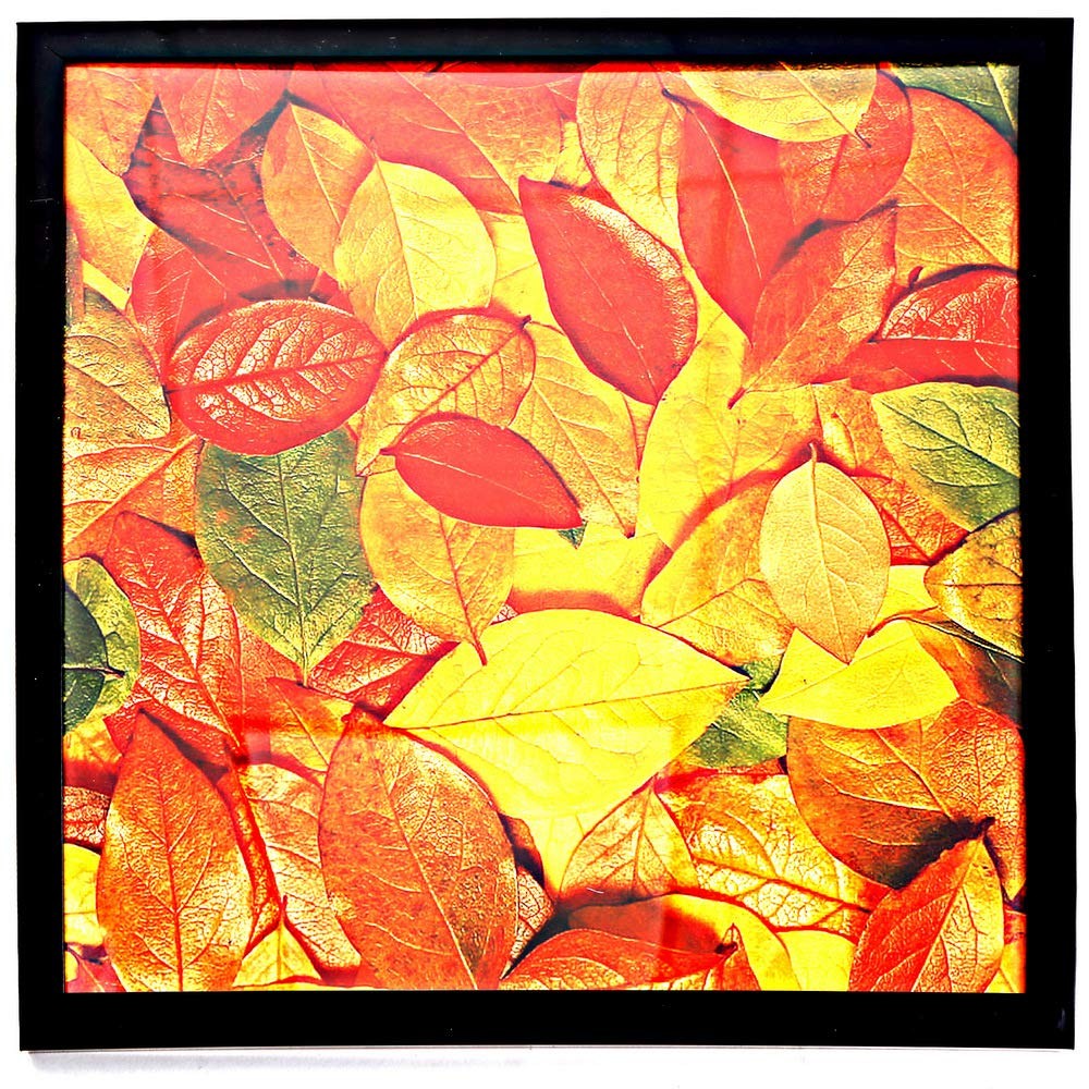 13X13 Picture Frame for Wall, Display Pictures 13X13 Square Record Album Frame, gallery