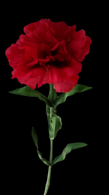 Artificial Real touch Large carnations gallery