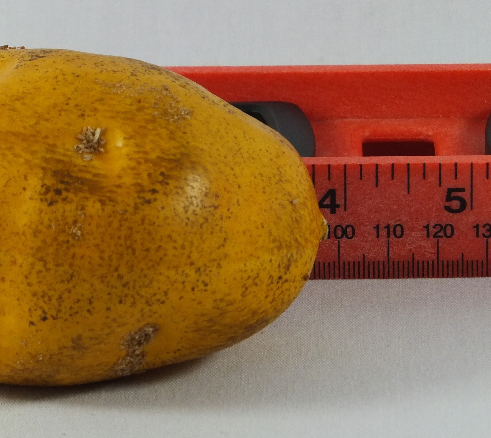 Artificial Potato Yellow Plastic Vegetable Potatoes Fake Vegetables Patata gallery