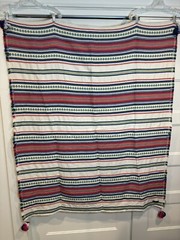 Pendleton Fringed Woven Throw Blanket Soft Cotton 48×58 Multicolor Striped