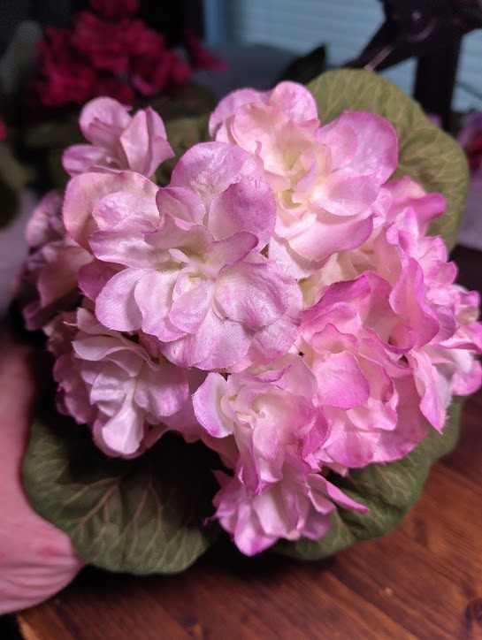 ARTIFICIAL 6" Miniature African Violet - Fuchsia Fantasy gallery