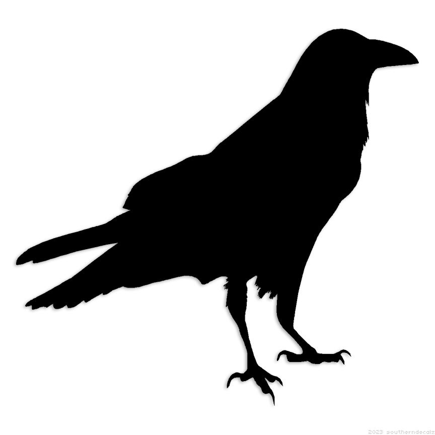 Crow - Decal Sticker - Multiple Colors & Sizes - ebn6142 gallery