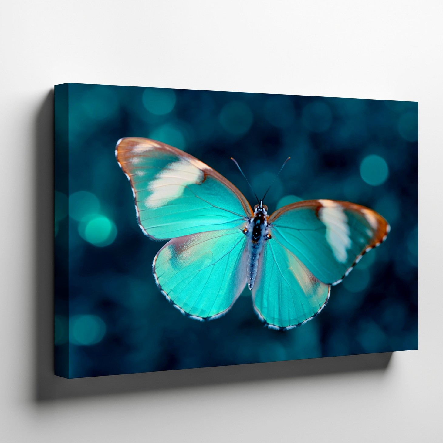 Turquoise Blue Butterfly Macro Close-Up Canvas Wall Art Nature Print Decor gallery