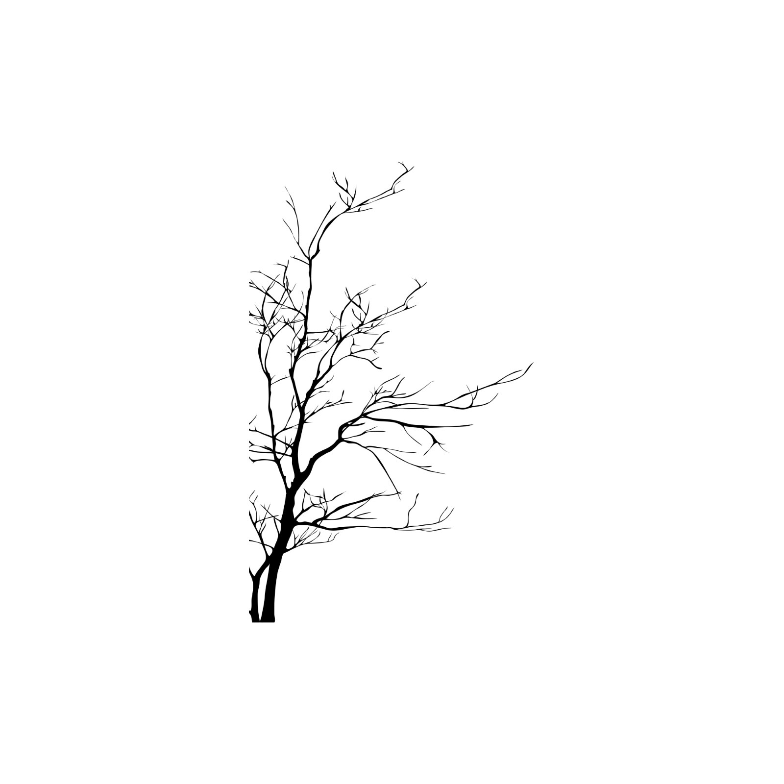 Large Bare Tree Vinyl Wall Decal Sticker. Bedroom, Bathroom Wall Art. #AC223 gallery