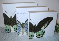 Punch Studio Butterfly Storage Keepsake Boxes Flip Top – Set of 3 – New