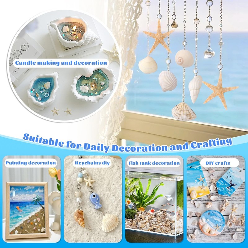 1200 Pcs Tiny Sea Shells, Seashells for Crafts with Small Multicolored Shells gallery
