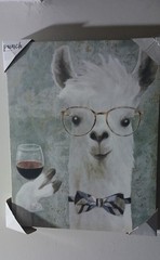 Alpaca Llama Canvas Picture