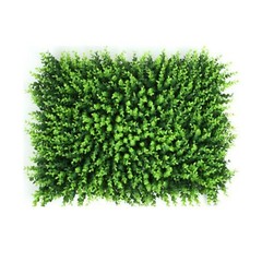 TECHTONGDA 10pcs Plant Background Wall Eucalyptus Encryption Globulus Grass