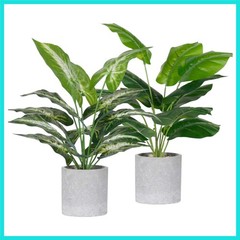 2 Pack Fake Plants Artificial Tropical Faux Plants Indoor for Office Desk Hom…