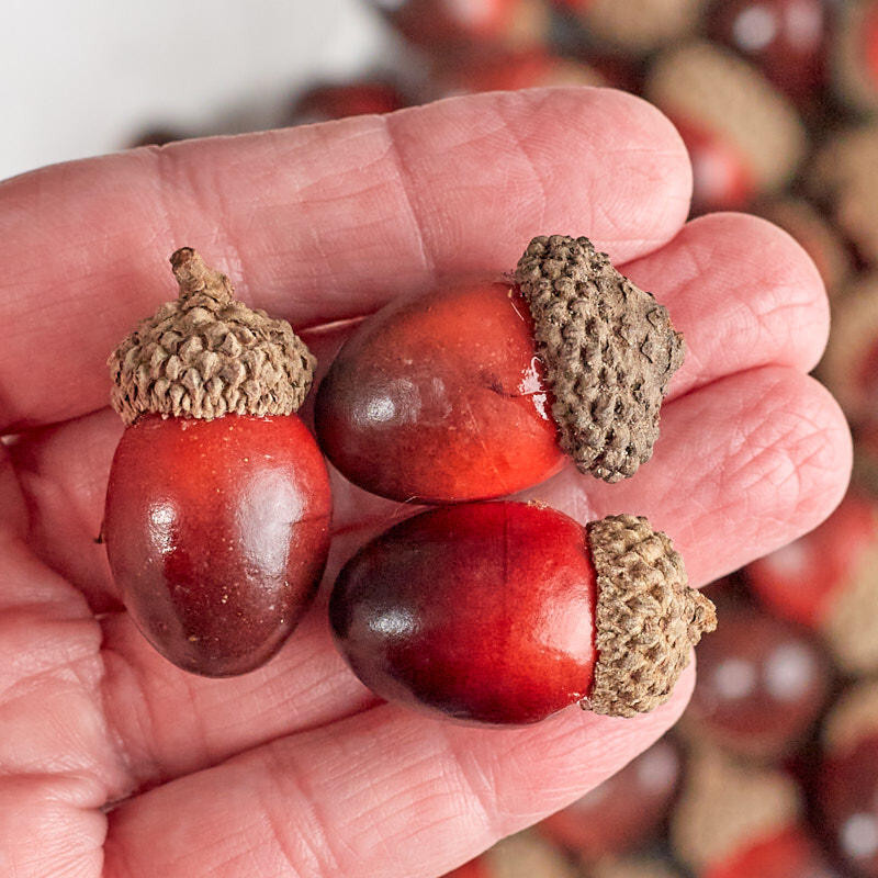 Package of 72 Realistic Look Artificial 1-1/4" Acorns gallery