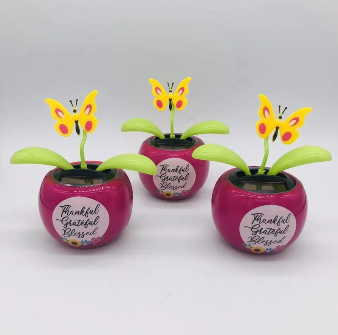 Solar Dancing Flower, Solar Powered Dancing Swinging Flower Toy, Animated Dancer gallery