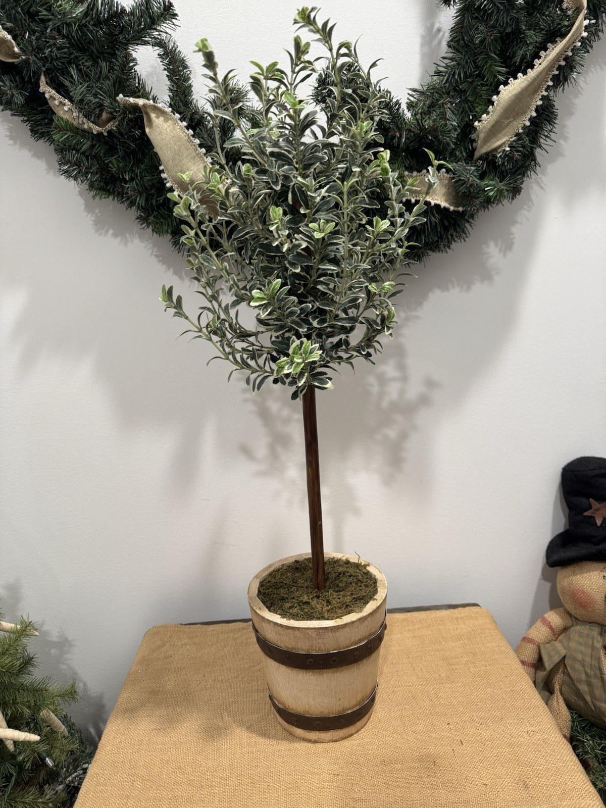 Olive Tree Topiary Tree gallery