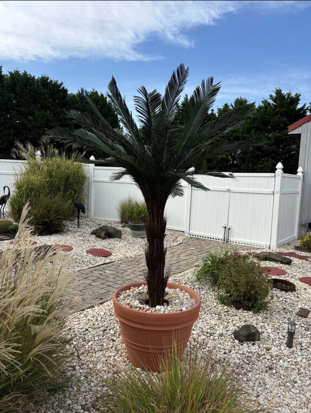 5’ Cycas Palm Artificial Tree Home Decor UV (Indoor/Outdoor). Retail $267 gallery