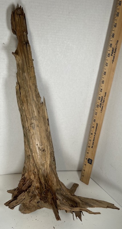 Driftwood¡ 2 Piece Set Cedar Root Like & Straight Piece Beautiful Detail gallery