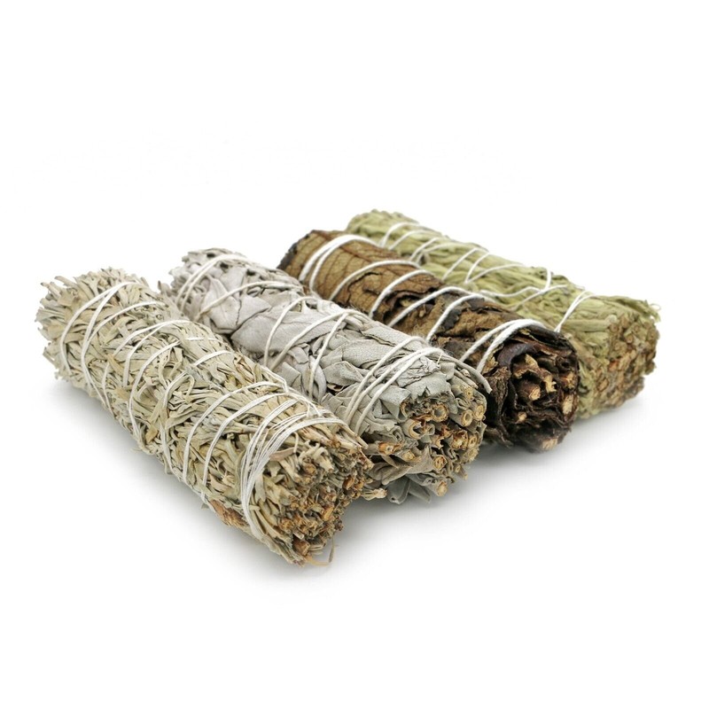 Assorted 4 Pack Sage Variety Pack with White, Green, Blue & Black Sage with Guid gallery