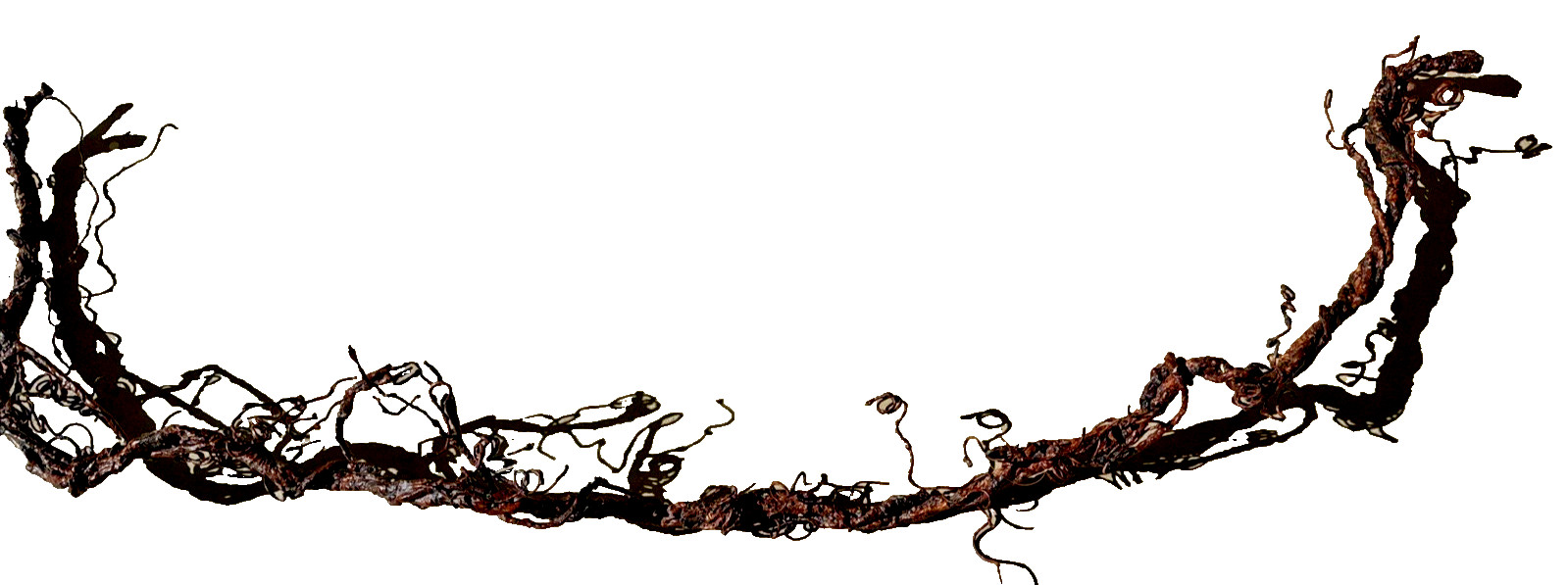 Rustic Country Grapevine Artificial Garland Realistic Brown Decoration 2 pc 71"L gallery
