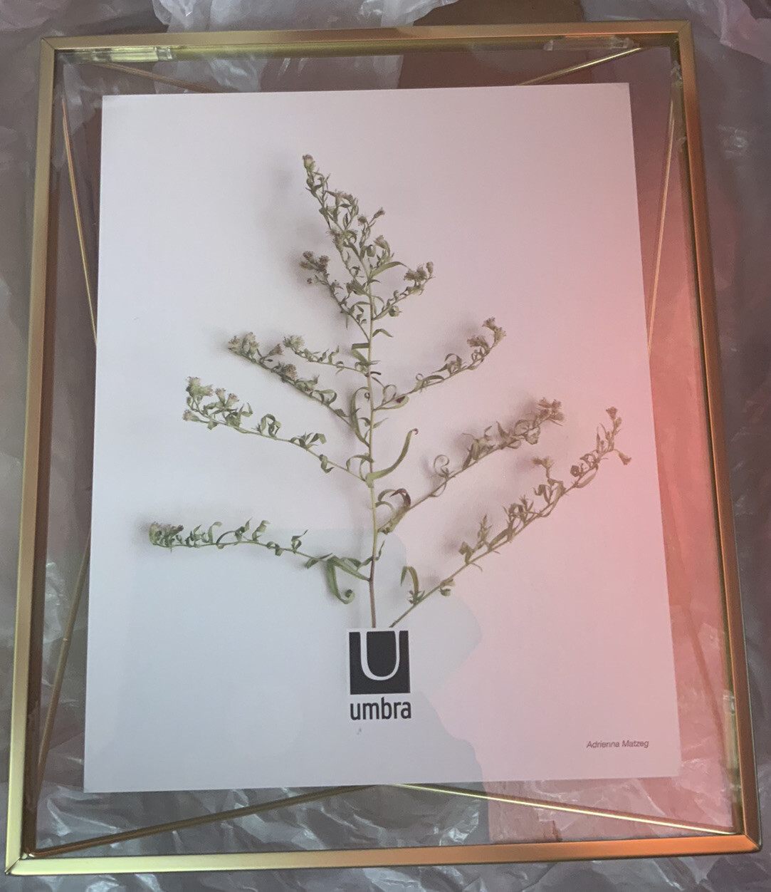 🧷 Umbra Prisma Picture Frame, 8x10 Photo Display for Desk or Wall, 🆕as Shown gallery