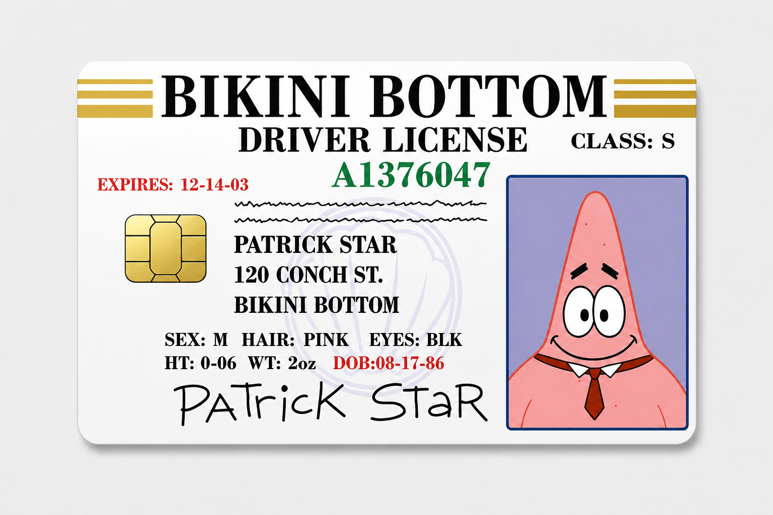 Patrick Bikini Bottom Gang License Debit Card Skin Credit Card Skin Sticker gallery