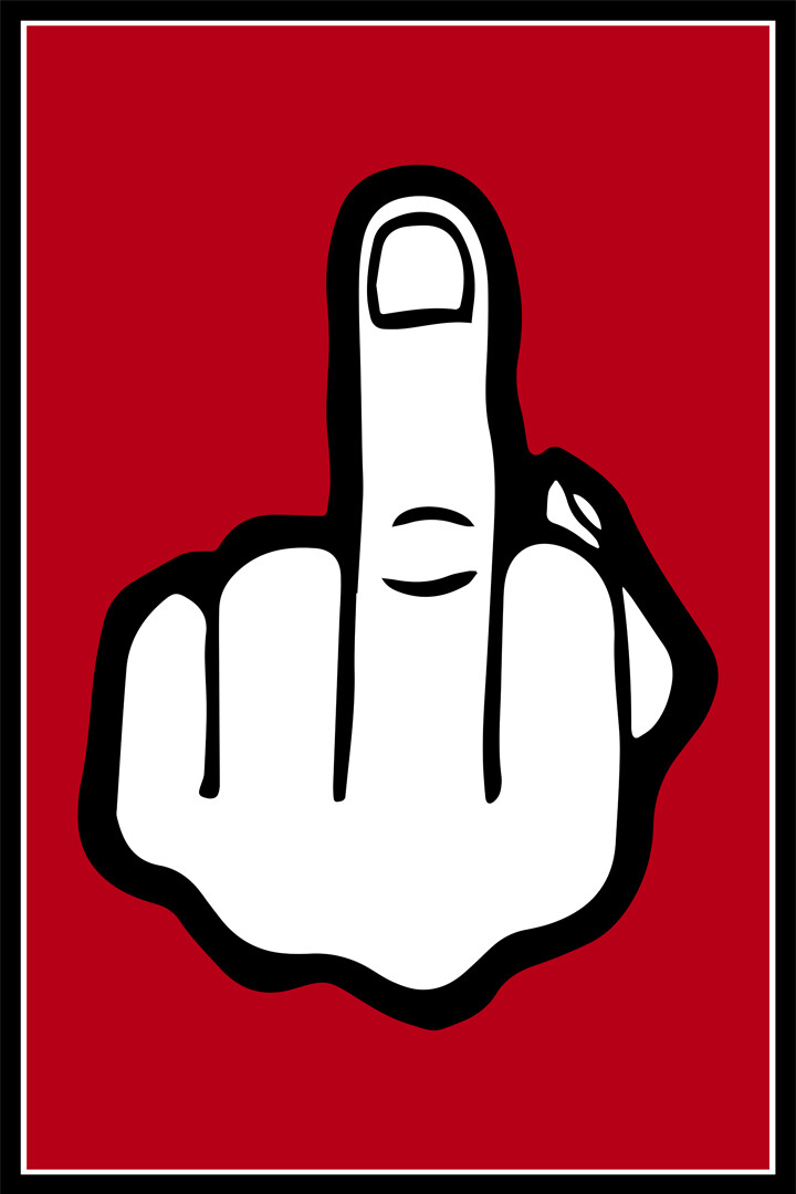 Middle Finger Fly Flag Two Words One Finger Art Wall Room Poster - POSTER 20x30 gallery