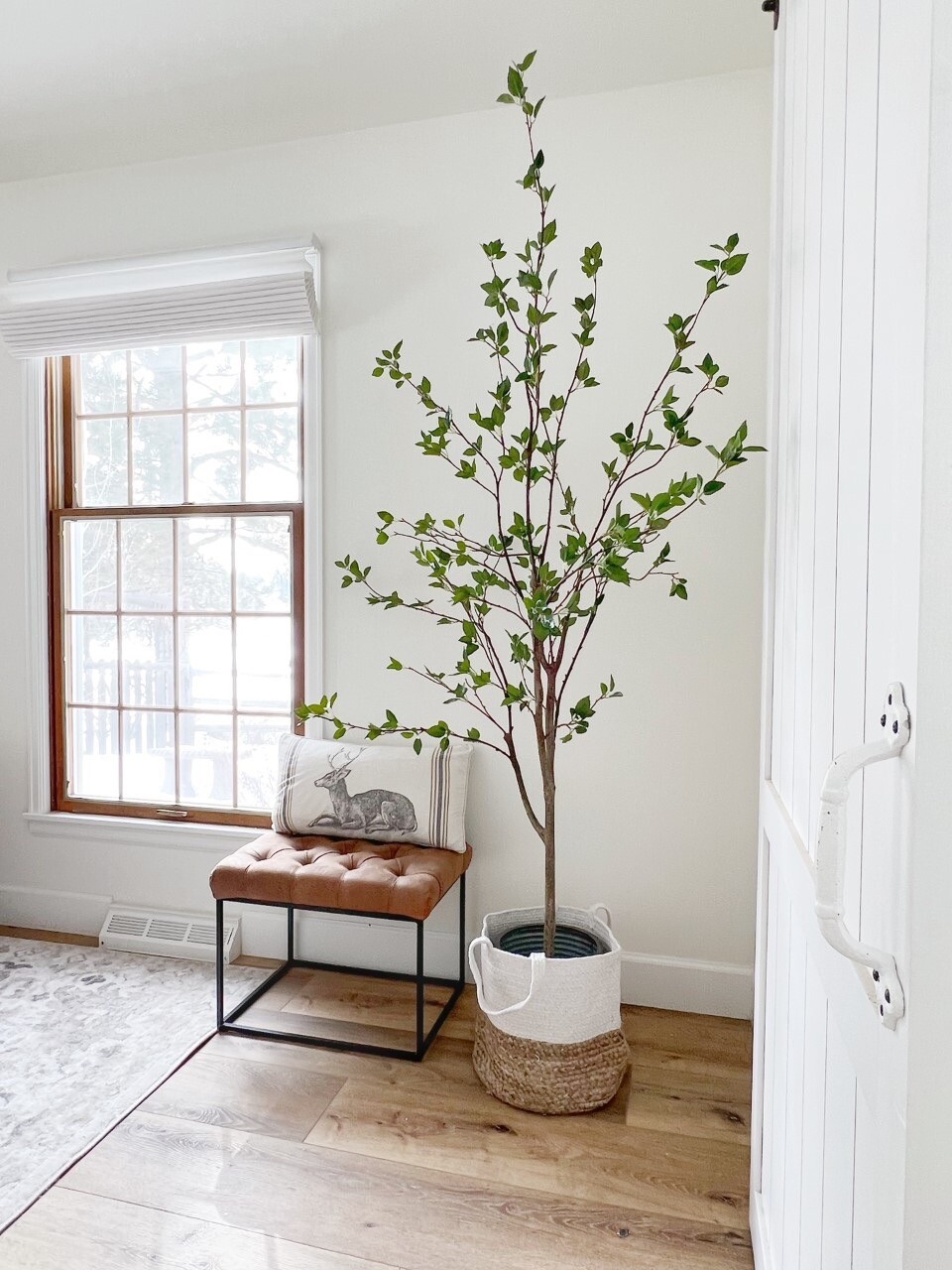 6.5’ Artificial Citrus Minimalist Tree Home Decor. Retail $248 gallery
