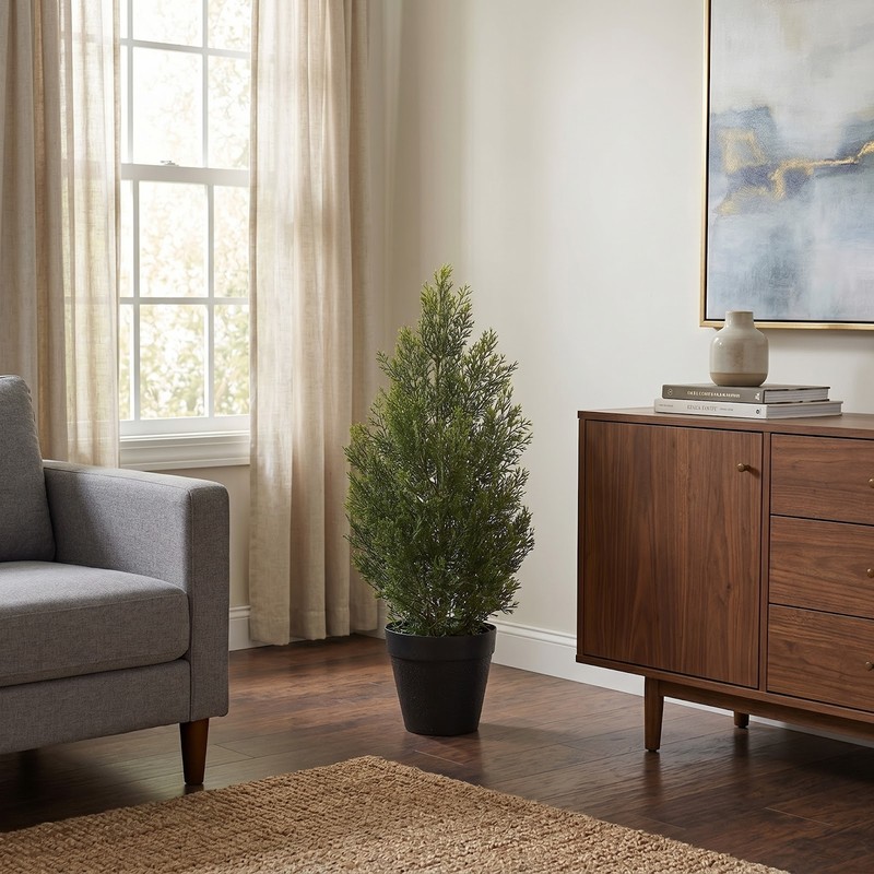 2' Mini Cedar Pine Tree (Indoor/Outdoor) gallery