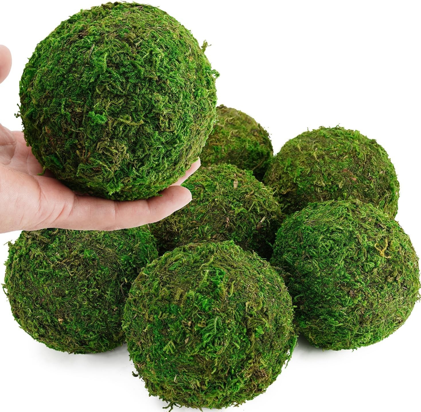 6 PCS Extra Large 4 Inch Decorative Moss Balls For Bowl Centerpiece gallery