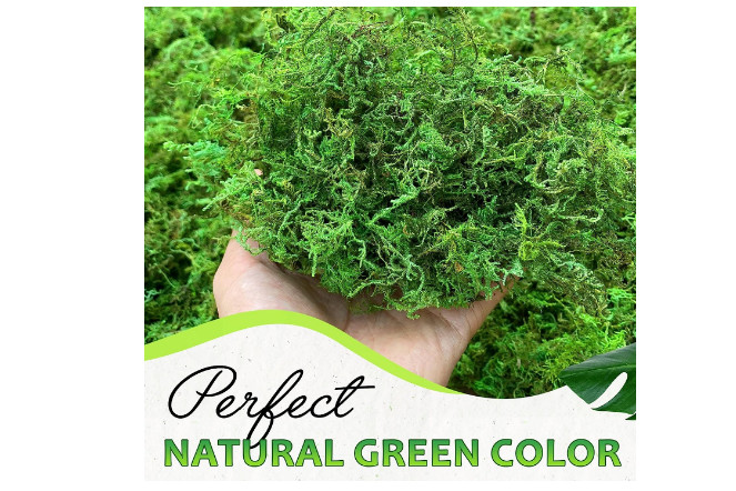 Artificial Moss Potted Plants Decorative Crafts Green Table Piece Wedding Party gallery