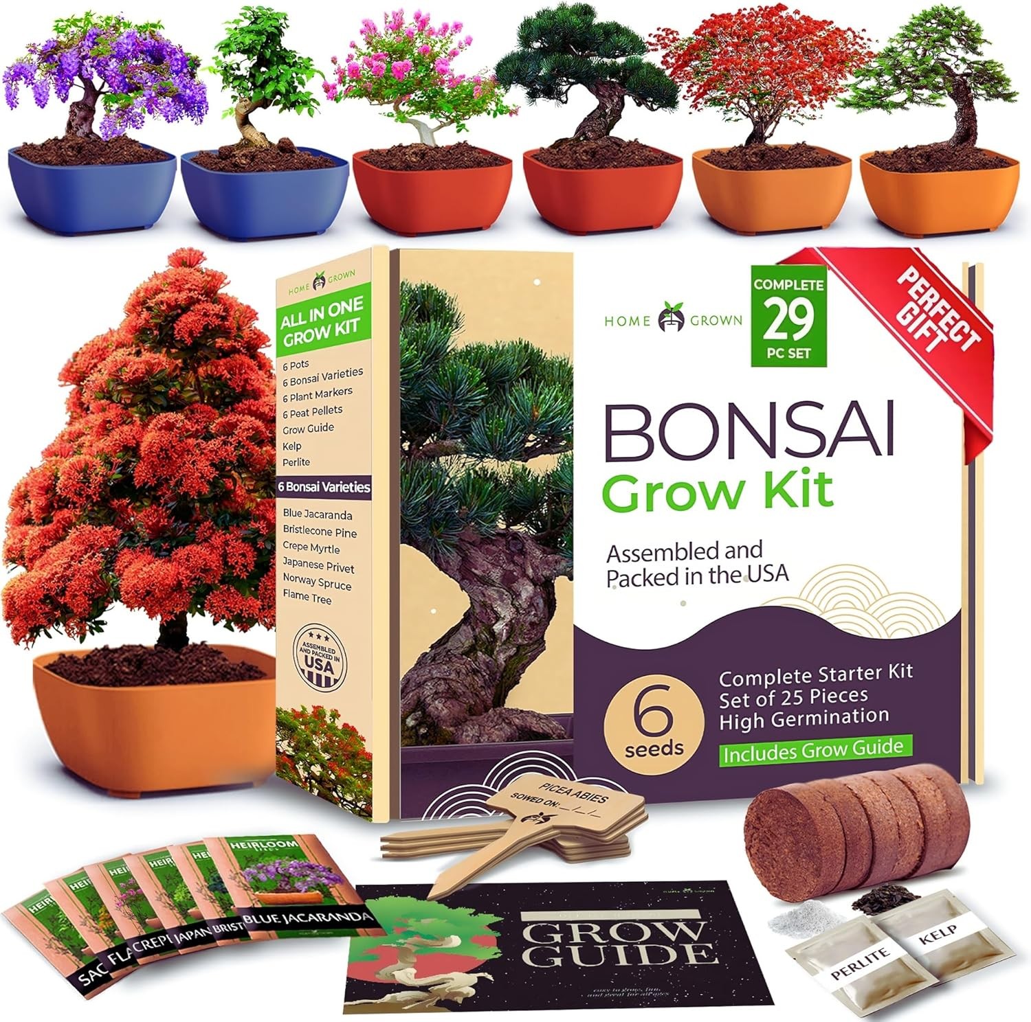 HOME GROWN 𝗨𝗦𝗔 Bonsai Tree Kit – 6 Heirloom Varieties Master gallery