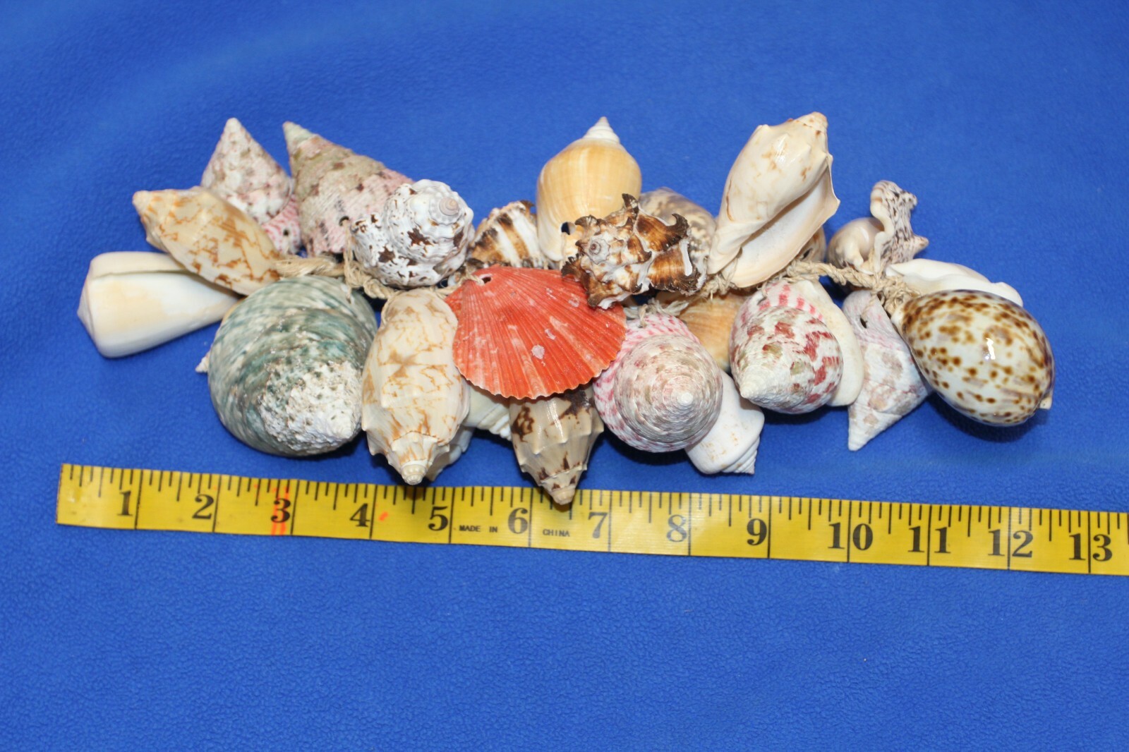 Beach Wedding Reception Dinner Seashell Tabletop Decor Centerpiece, G-04 gallery