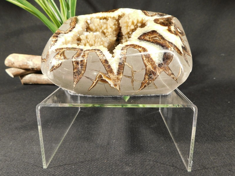 Display Stand Riser Type Short Clear Lucite Large Size gallery
