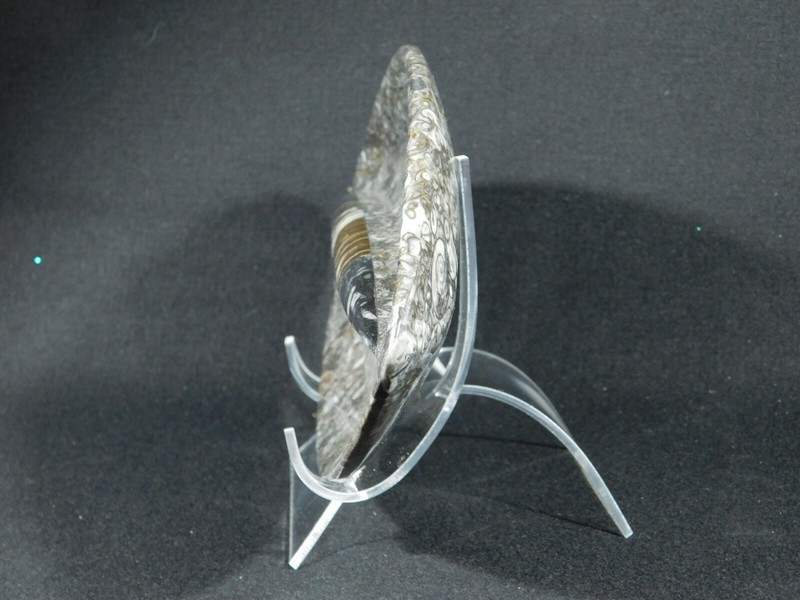 Easel Display Stand X-Large Size Clear Lucite gallery