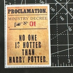 Harry Potter PROCLAMATION No.01 No One Hotter Vinyl Decal Sticker Bomb HP Magic