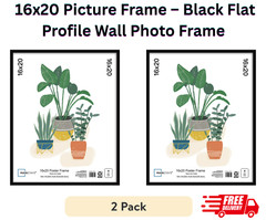 2 pack 16×20 Basic Black Poster Frame