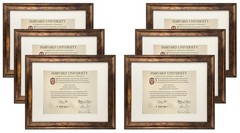 STUDIO 500 11×14 Document/Picture Frames Antique Gold, Champagne, Silver