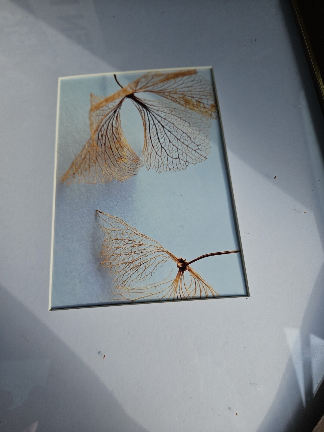 STUDIO DECOR Shadow Back Loading Decorative Shadowbox Frame, 10x16in Brown gallery