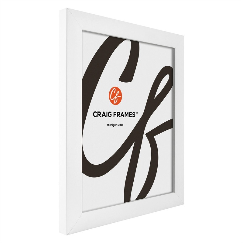 Craig Frames White Picture Frames & Poster Frames, 1" Wide Contemporary Style gallery